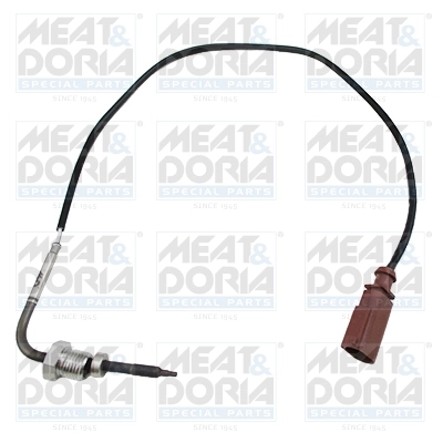 Sensor, exhaust gas temperature